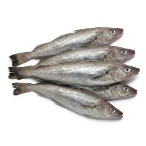 whiting fish