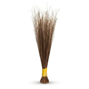 Nigerian Broom