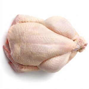 whole mature chicken old layer