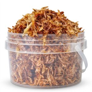 ungrounded crayfish(800g)